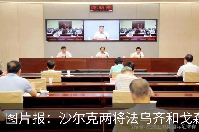 图片报：沙尔克两将法乌齐&戈森斯严重撞伤，将缺席杯赛