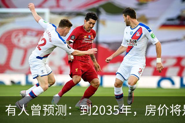 有人曾预测：到2035年，房价将是现在的2-3倍，这有可能吗？