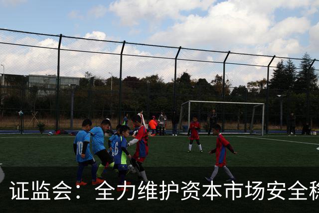 证监会：全力维护资本市场安全稳定